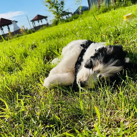 Pokoje Goscinne Amelka * Łeba